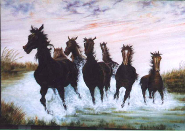 Liberi-e-selvaggi--1998--ol