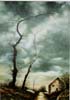 Aspetti della campagna lombarda 1981 olio su tela cm50x70
