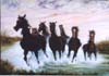 Liberi-e-selvaggi--1998--ol