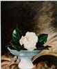Magnolia--1998--olio-su-tel