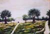Primavera-sulla-campagna-Sa