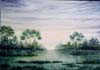 Prime-luci-sulla-palude-199